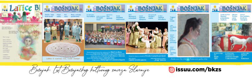 Časopis Bošnjak